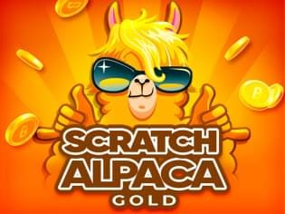 Scratch Alpaca Gold thumbnail